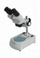 Stereo microscope 3