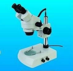 Zoom stereo microscope