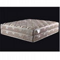 Spring Mattress 1