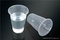 100% Biodegradable Disposable Cup 1