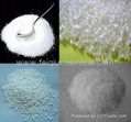 Sodium Carbonate 1