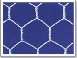 hexgonal wire mesh 2