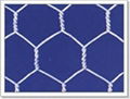 hexgonal wire mesh 2