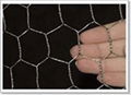 Hexagonal wire mesh 1