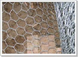 Hexagonal wire mesh 2