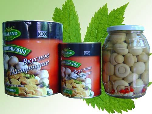 canned mushroom 2