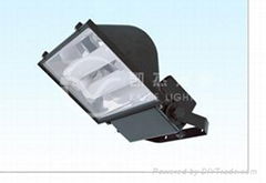 Induction lamps Flood Lights