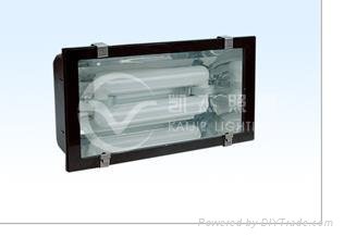 Induction lamps Tunnel Lights 2