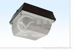 Induction Lamps Ceiling Lights