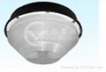 Induction Lamps Ceiling Lights 3