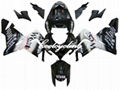 KAWASAKI ZX-10R 04-05 FAIRING KIT 1