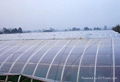 3 ply Greenhouse PE film