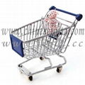 shopping trolly 5