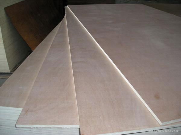 common plywood  5