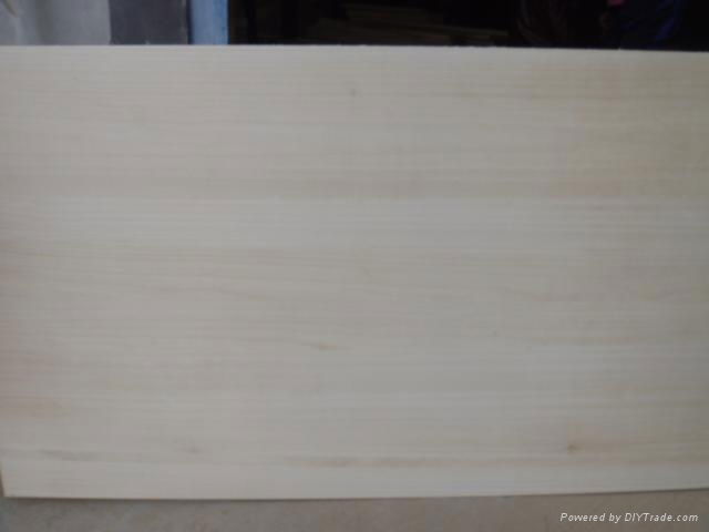 paulownia edge glued panels, paulownia lamination boards 5