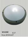 Bulkhead Ceilling light , wall outdoor Light with glass diffuser  2