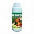 Seaweed functional compound liquid 1