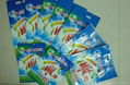 Excellent Print Washing Powder Bags 3