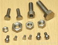 stud bolt and hex nuts