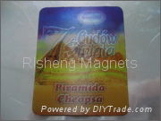 3D Lenticular fridge magnet  2