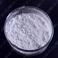 PTFE Molding Powder 1