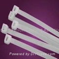 Cable Ties 1