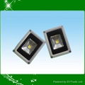 LED Flood Light