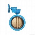 concentric disc flanged  butterfly valve