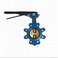 Two-PC Stem Butterfly Valve Without Pin