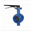 Grooved-end butterfly valve