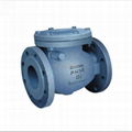 Swing check valve