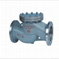 Lift check valve