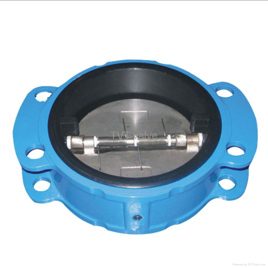 Rubber-coated check valve