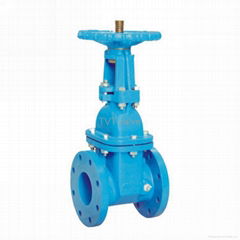 Rising stem resilient seated gate valve