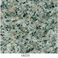 granite 2