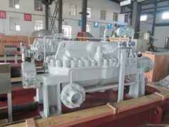 API610 BB3 Pump Type AMD