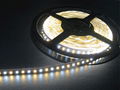 Indoor CCT Adjustable led strip