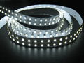 Indoor double row 3528 led strip 1