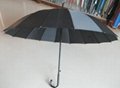 golf umbrella 1