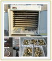 CE certified  poultry egg incubator YZTIE-15 for hatchery 1