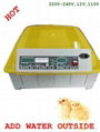 CE Approved New Design Family Use Fully Automatic Mini Egg Incubator for 48 Eggs 1