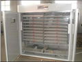 high quality and fully automatic chicken egg incubator YZTIE-18 2