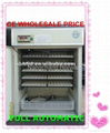 hot selling CE certified and cheap incubator YZTIE-10 1