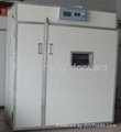 hot selling CE certified and cheap incubator YZTIE-10 3