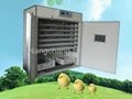 hot selling CE certified and cheap incubator YZTIE-10 4