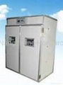 hot selling CE certified and cheap incubator YZTIE-10 5