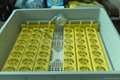 CE Approved New Design Family Use Fully Automatic Mini Egg Incubator for 48 Eggs 3