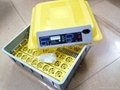 CE New Design Family Use Fully Automatic 48 Eggs Incubator mini incubator 2