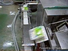 Flexible scraper chain conveyor