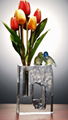 Crystal Vase with birds